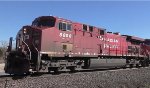 CP 8608
